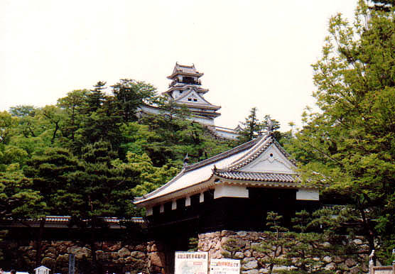 天守の壁には、本当にトゲが付いている