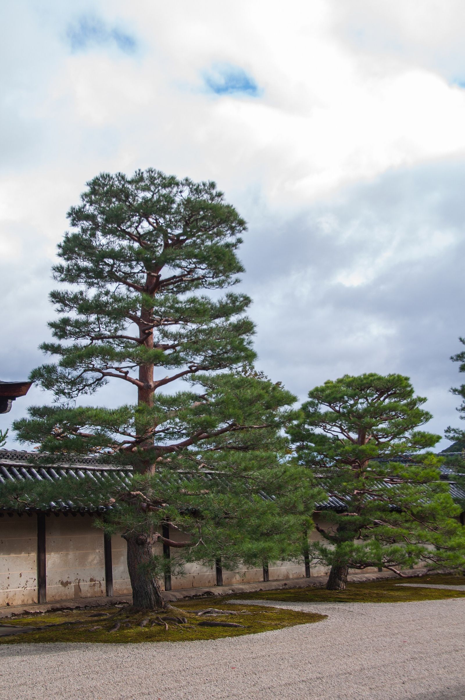 建物は8度焼けたが、庭だけは残った